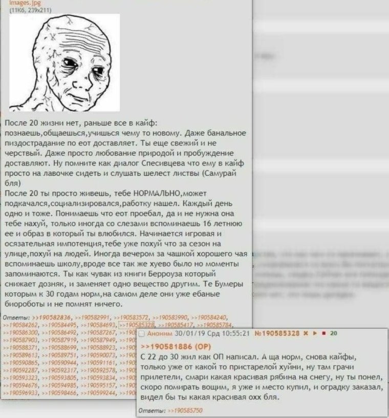 Смешные тесты