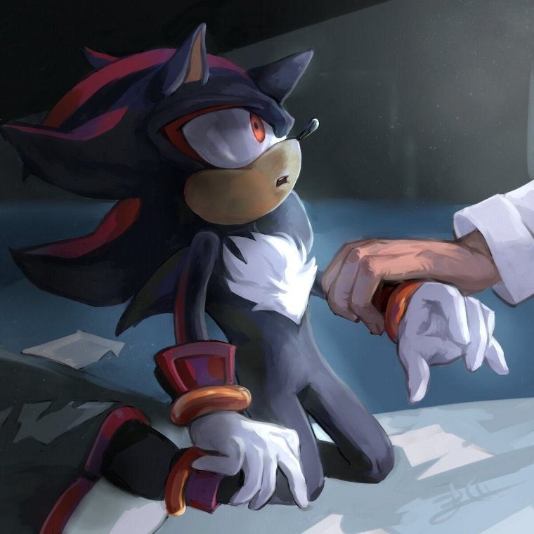 Шедоу и Мария смерть