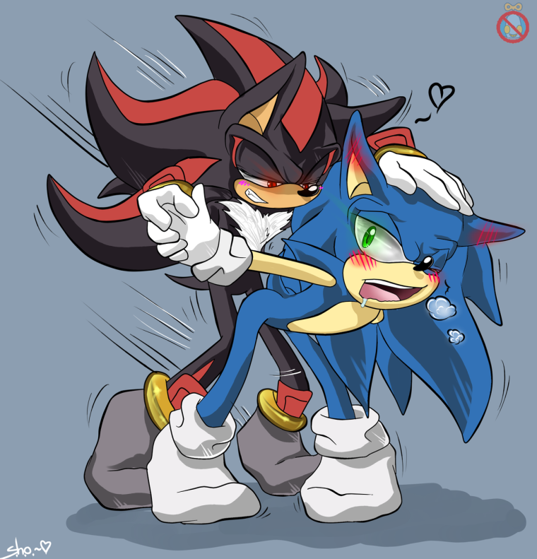 Соник хеджхог и Шедоу +18