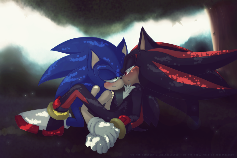 Соник и Шедоу