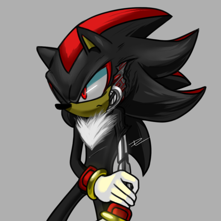 Ёж Шэдоу концепт