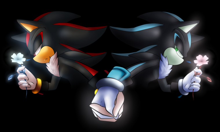 Sonic Шедоу Сильвер мефилес