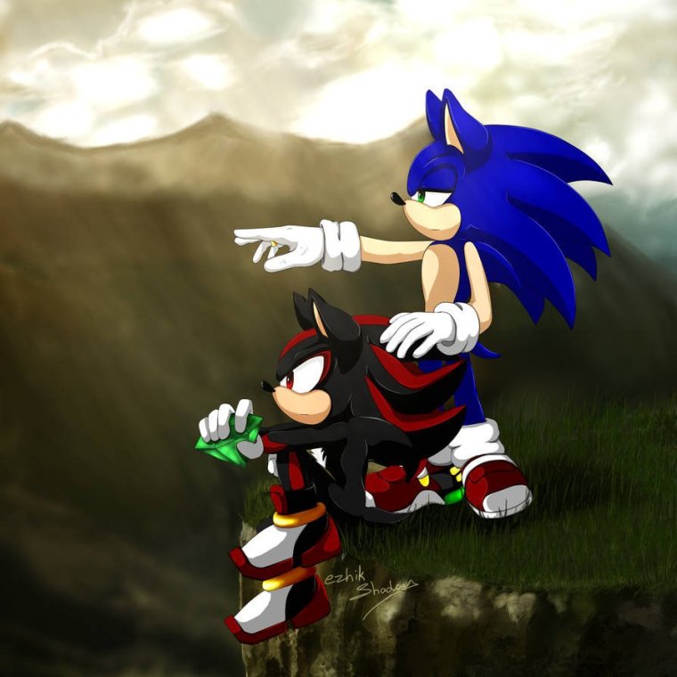 Шедоу ёж полиция