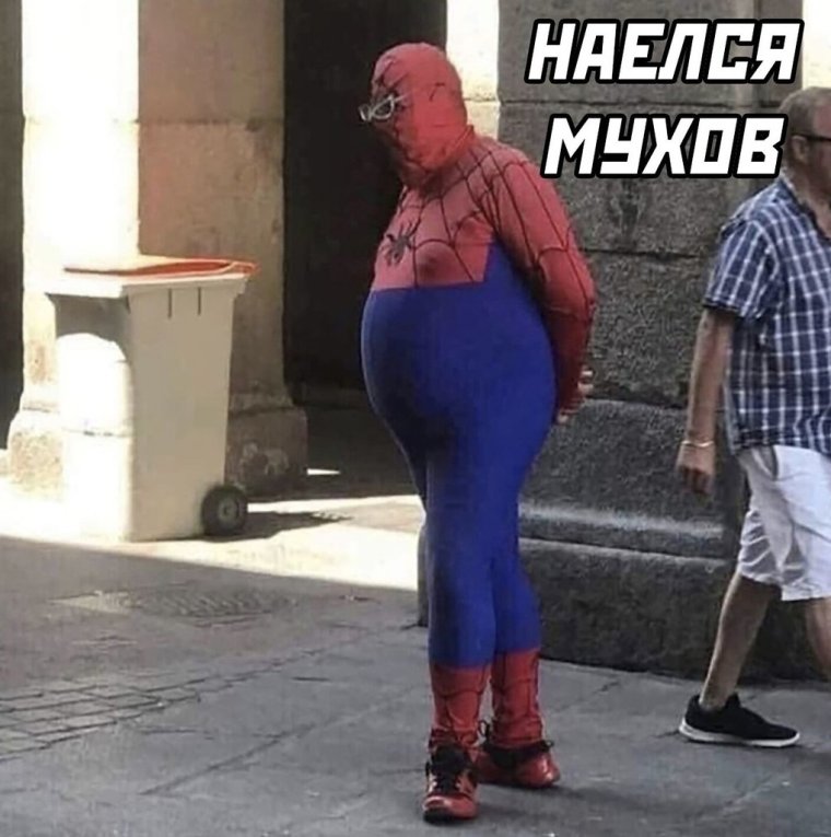 Толстый человек паук прикол