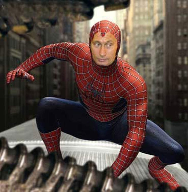 Fat Гвен паук