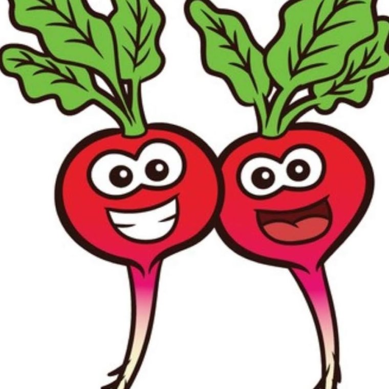 Две редиски