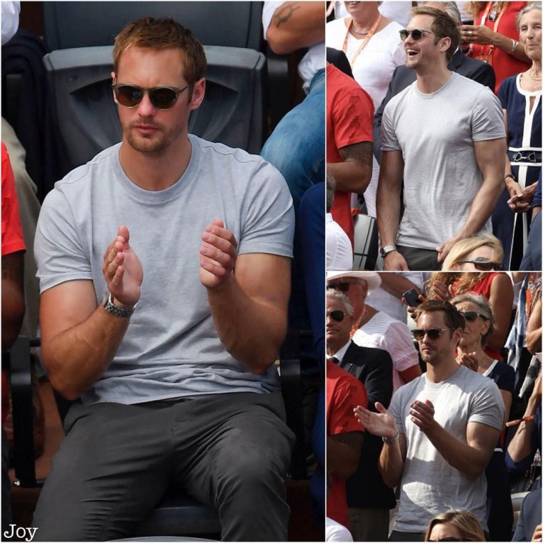 Скарсгард семья