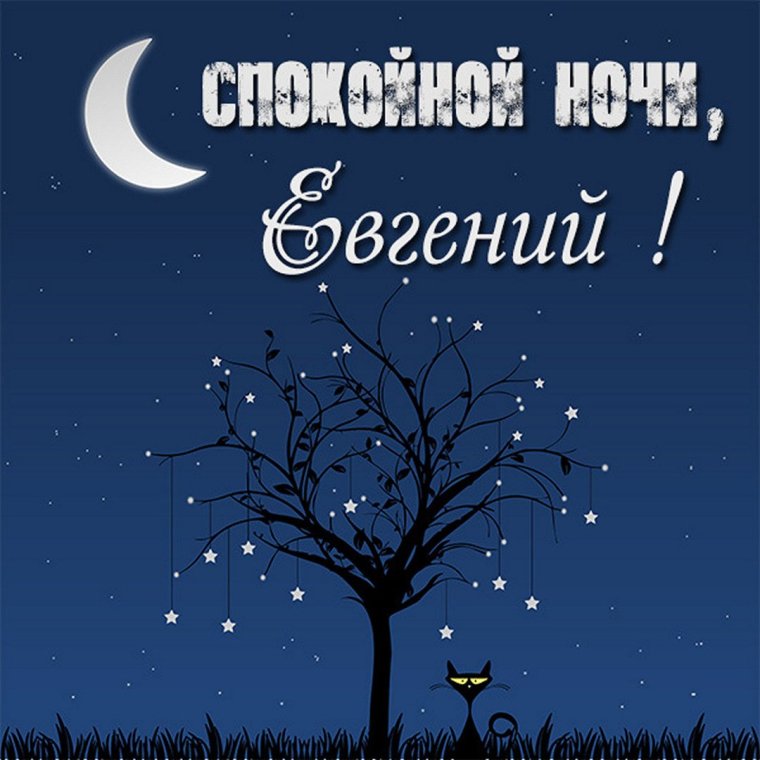 Роза светло оранжевая