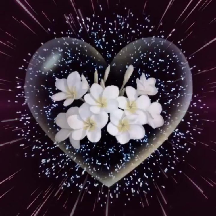 Вечер море закат и цветы