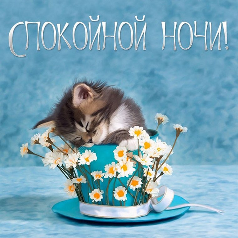 Привет добрый вечер