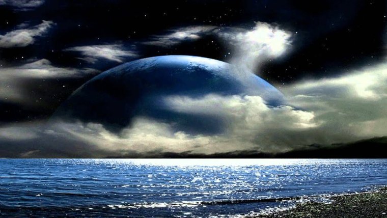 Добрый вечер ромашки