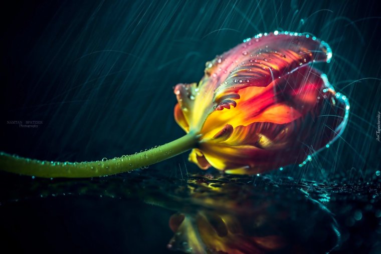 Люблю тебя наташка