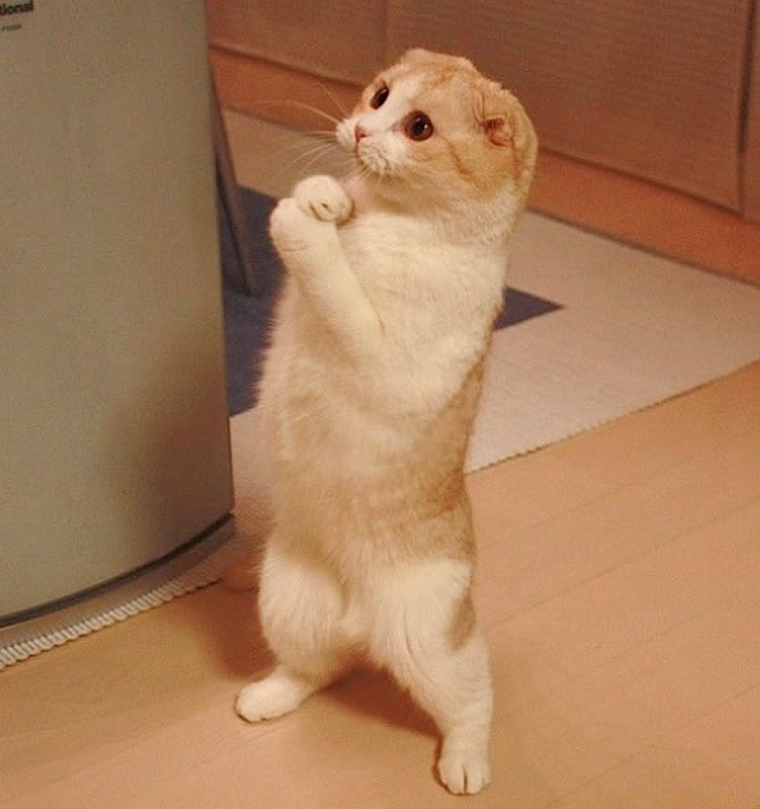 Открытки спокойной ночи