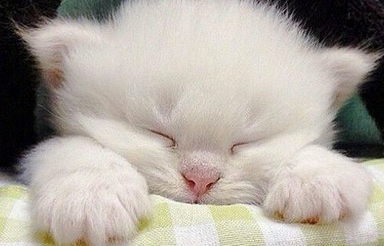 Открытки спокойной ночи женщине