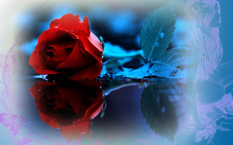 Спокойной ночи картинки красивые