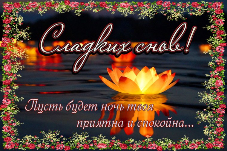 Цветы ночью