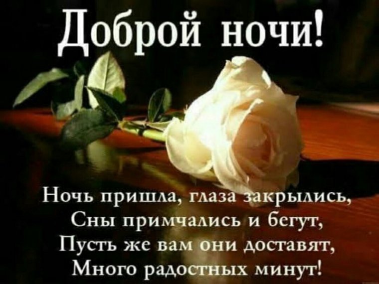 Спокойной ночи сладких снов