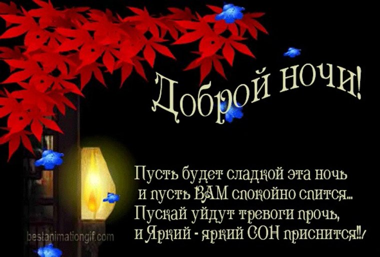 Спокойной ночи Саша