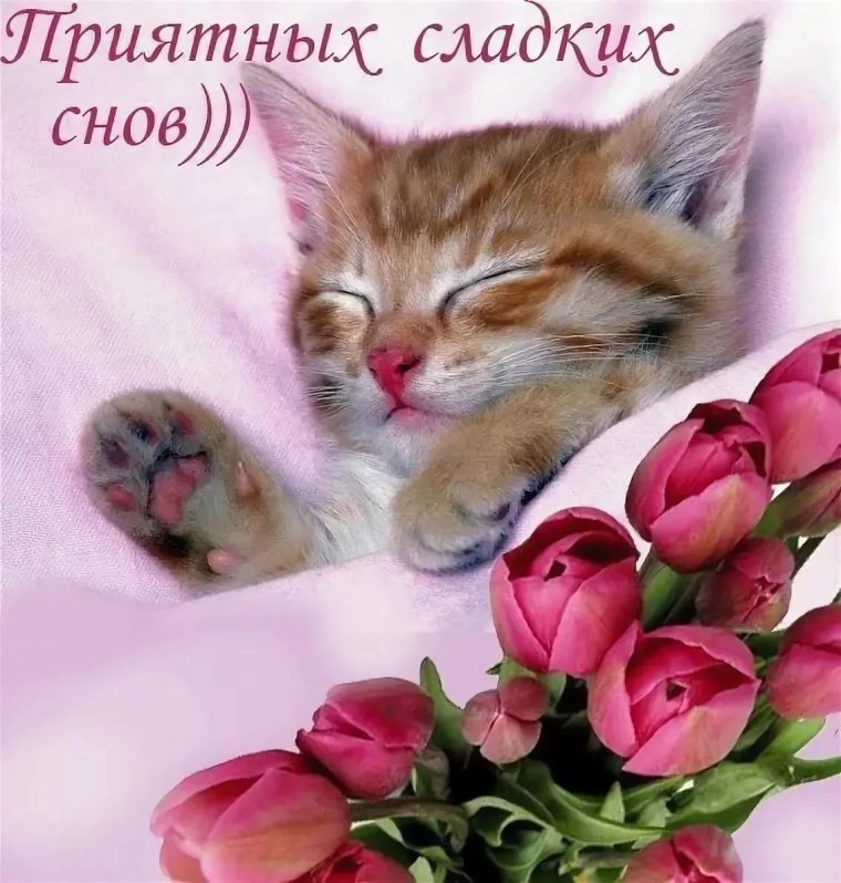 Доброй ночи хорошему человеку