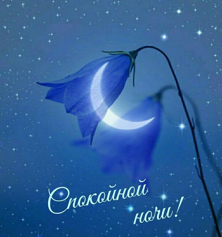 Спокойной ночи