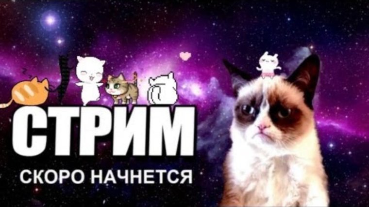 Сцена ожидания для стрима