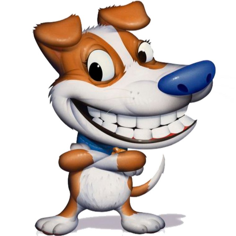 Чихуахуа смеется