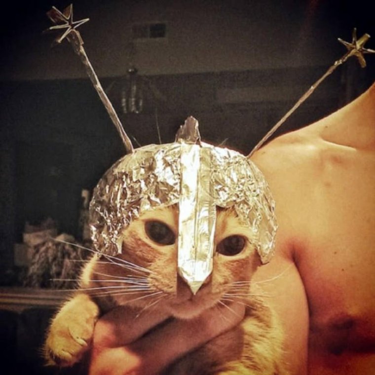 Котик в шапочке из фольги