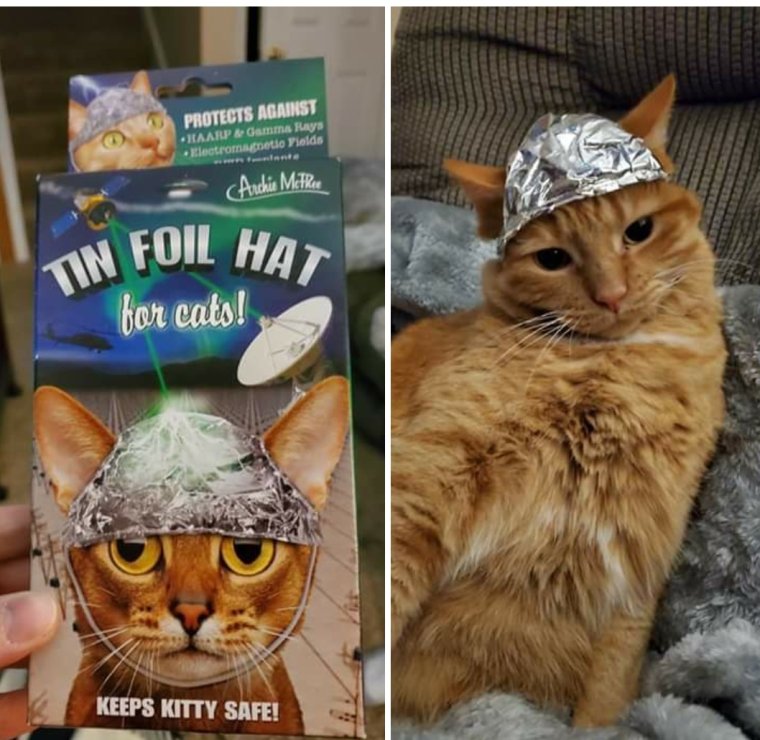 Рыжий кот в шапочке из фольги