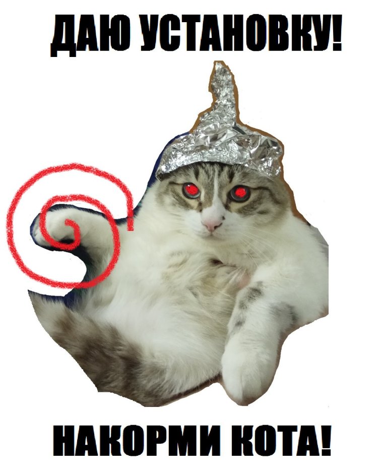 Котик в шапочке из фольги