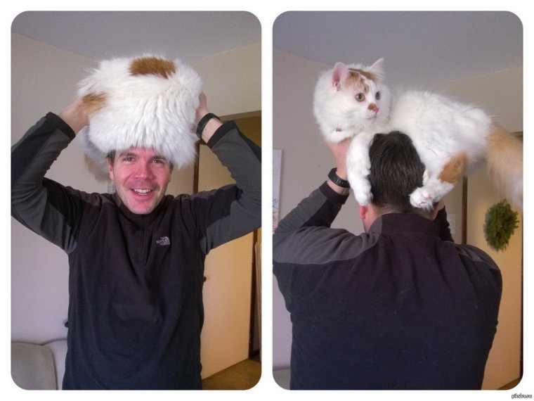 Смешная меховая шапка