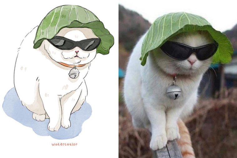 Кот с капустой на голове и в очках