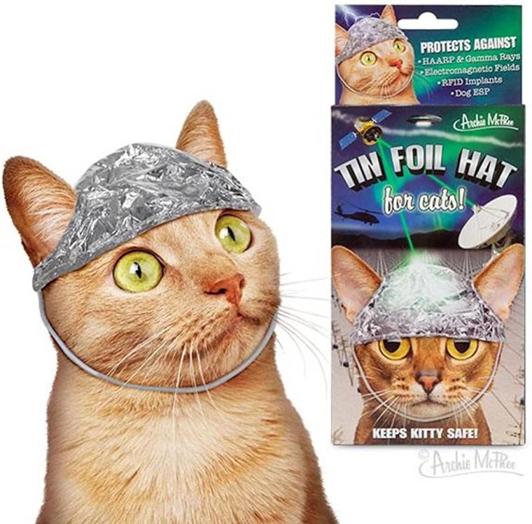 Кошка в шапочке из фольги