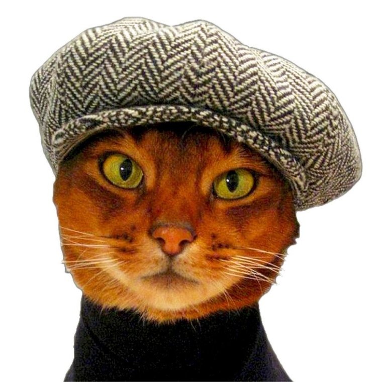 Шапочки для котов