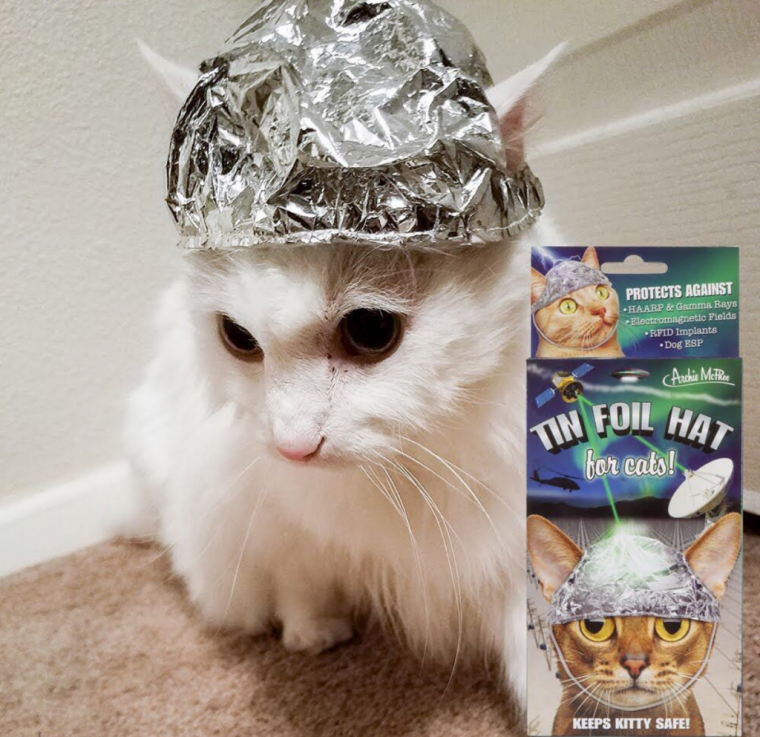Tin Foil hat for Cats