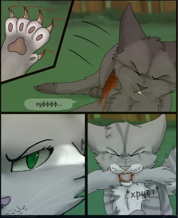 Коты Воители аниме комиксы