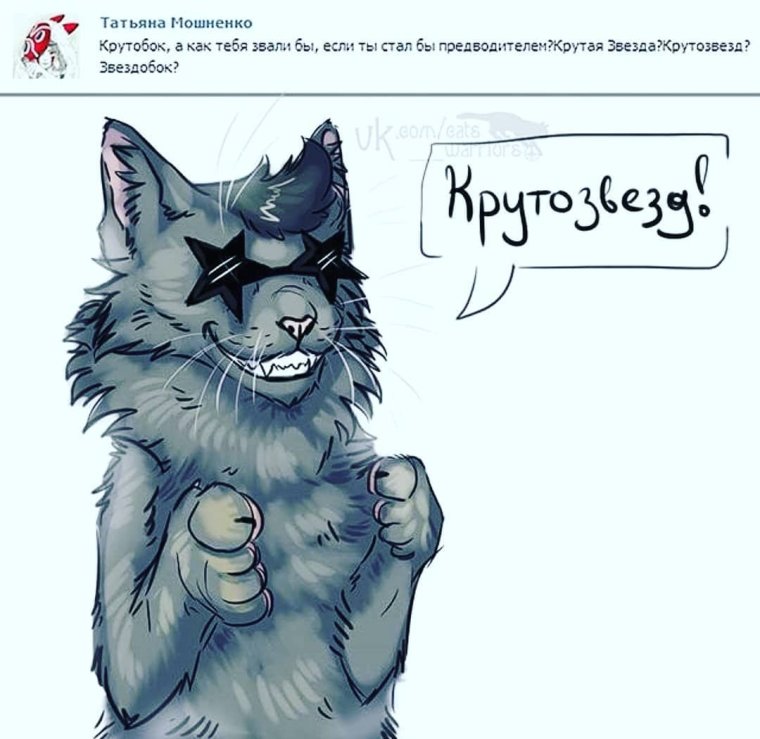 Коты Воители приколы