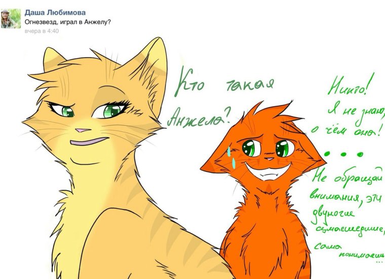 Коты Воители Бич и Огнезвезд приколы