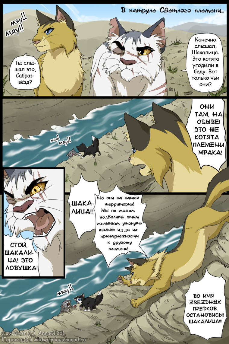 Коты Воители шакалица