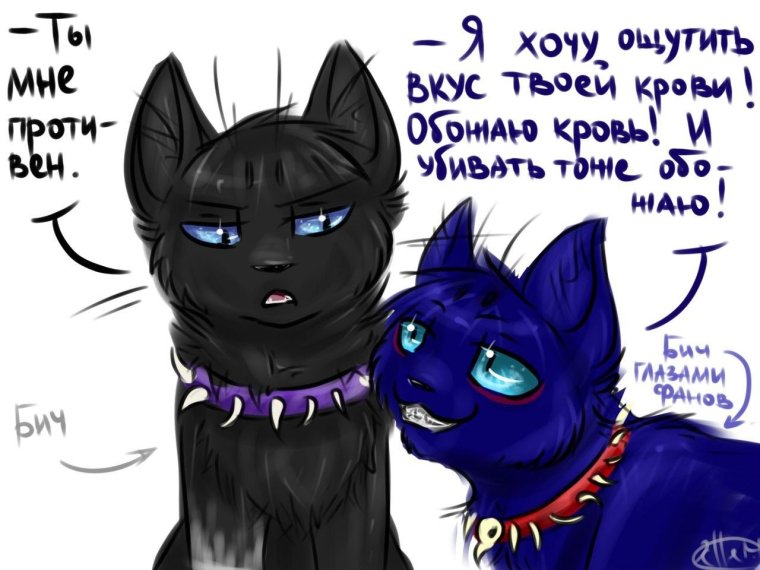 Коты Воители Бич в виде человека