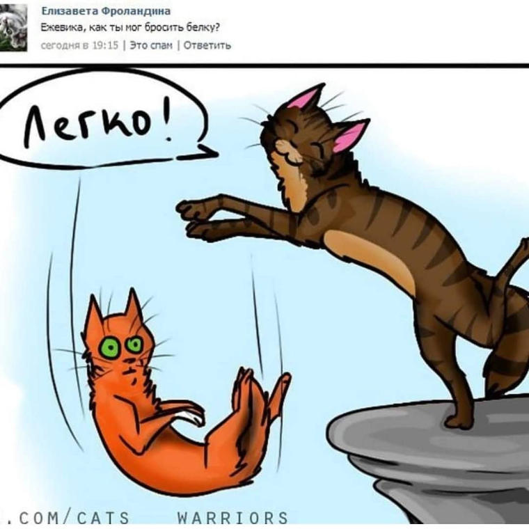 Коты Воители смешные комиксы