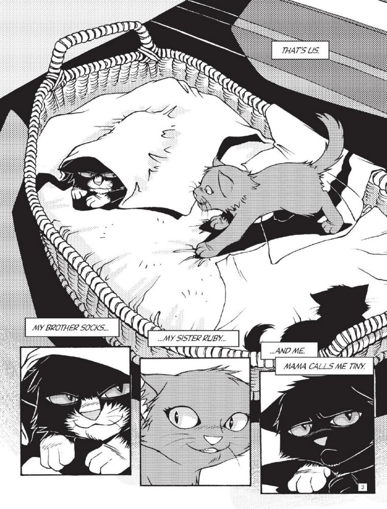 Коты Воители Манга Бич путь к власти