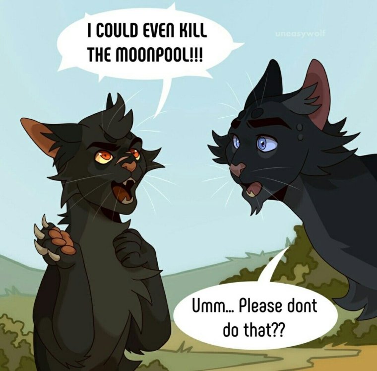 Коты Воители арты приколы