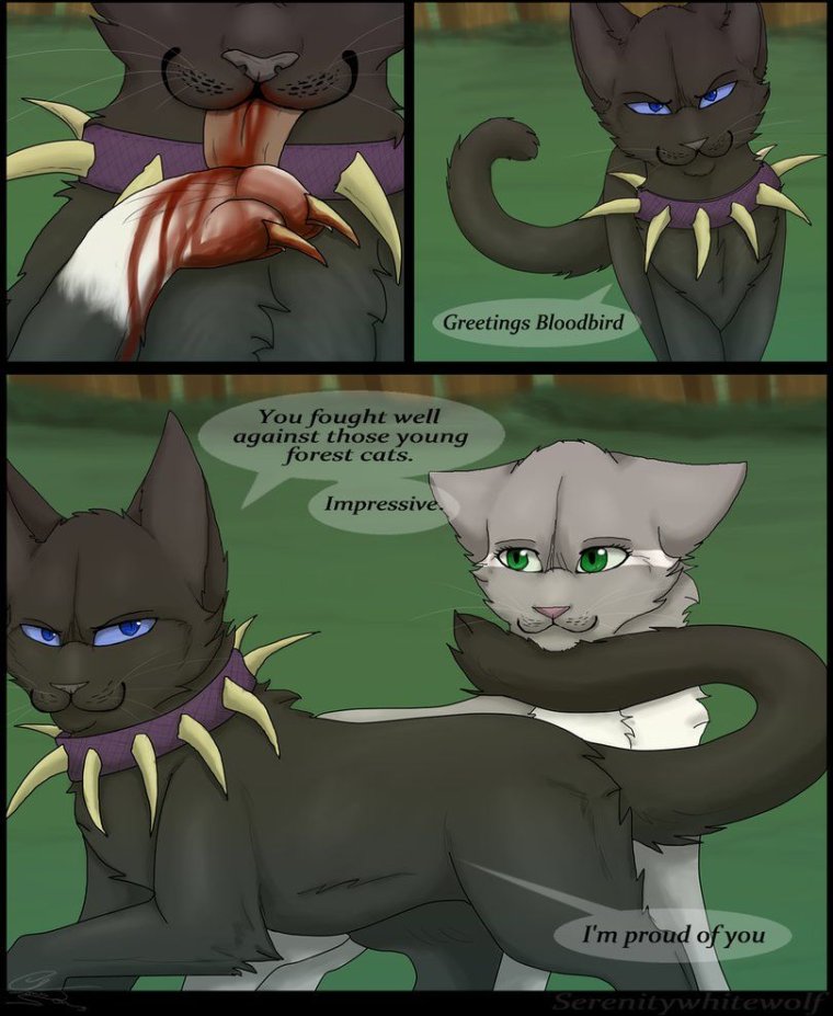 Warriors коты Воители комиксы