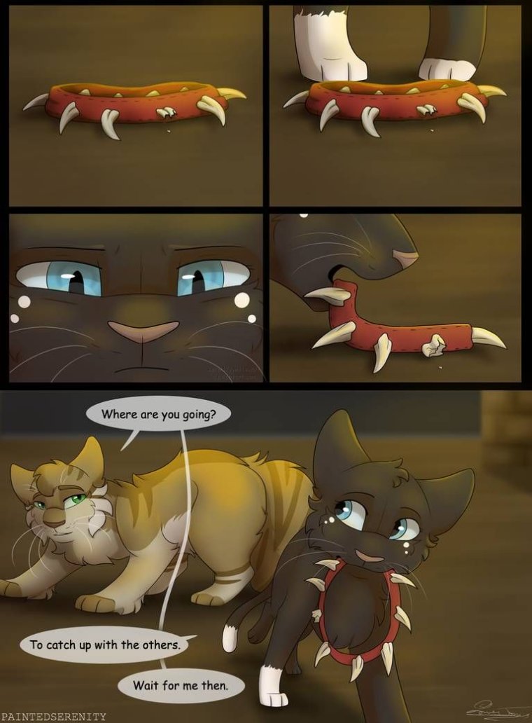 Комиксы про котов воителей