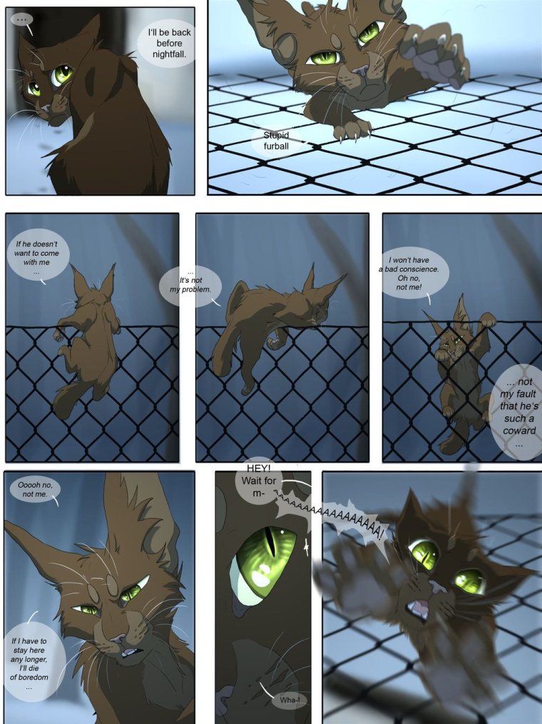 Коты Воители комиксы