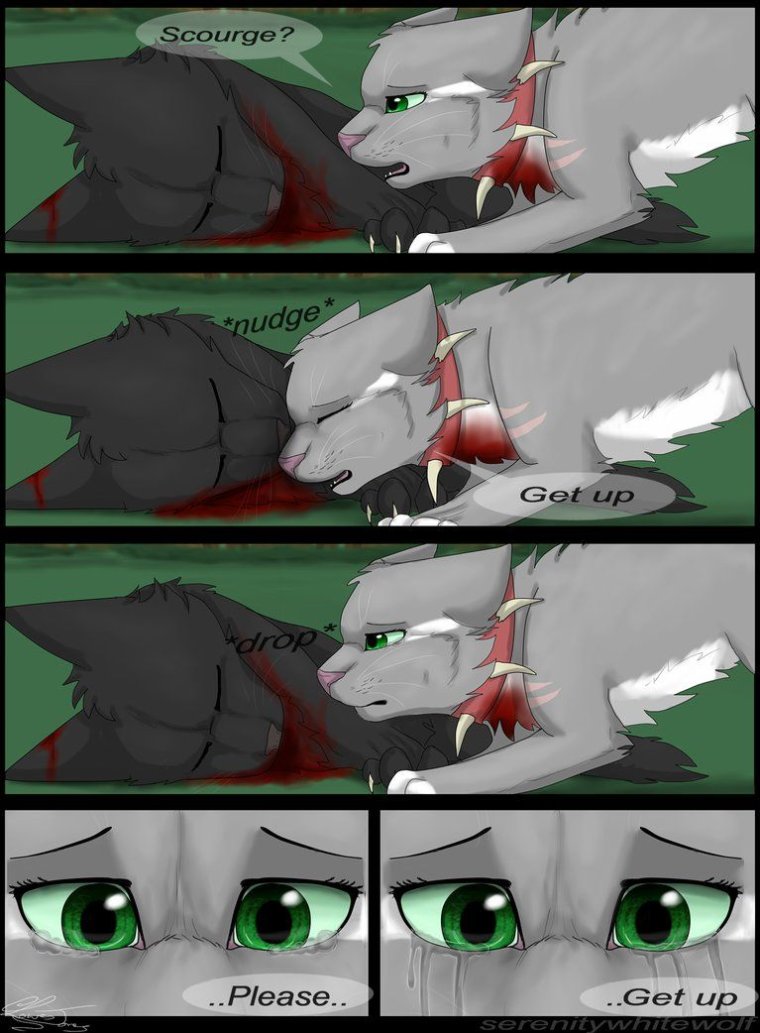 Комикс глаза ворона коты Воители