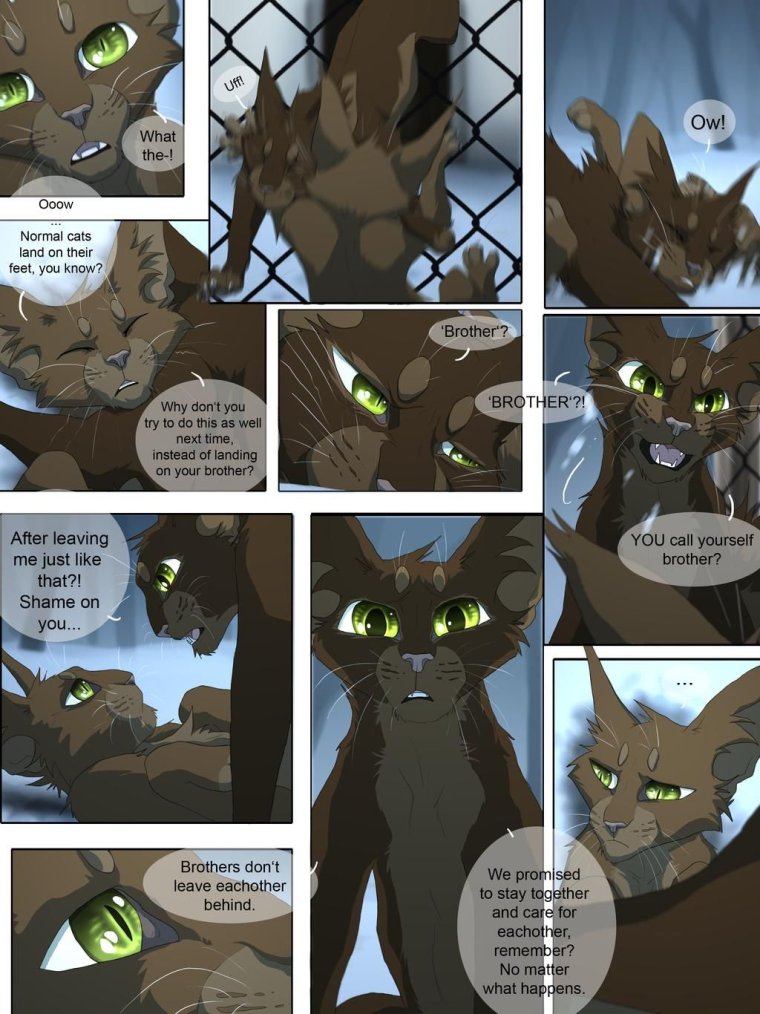 Коты Воители шакалица комиксы