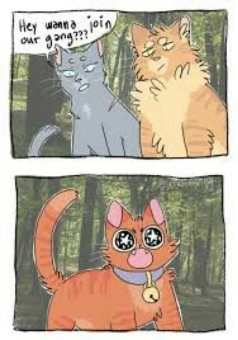 Коты Воители Воробей комикс