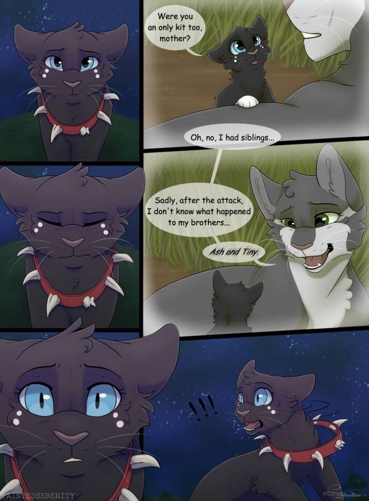 Коты Воители PAINTEDSERENITY комикс