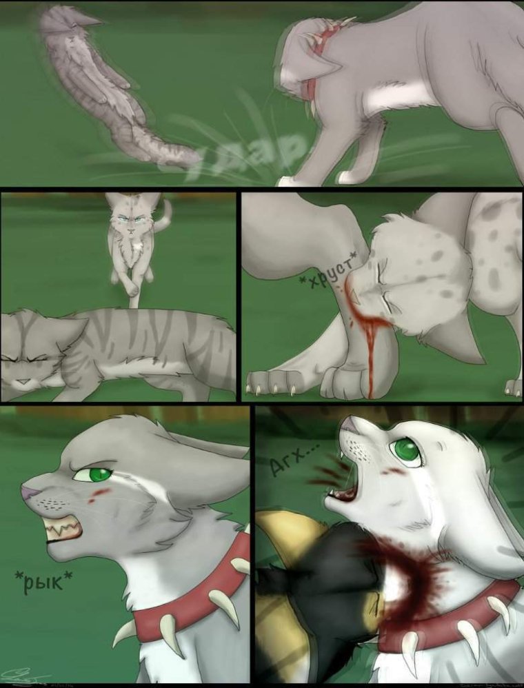 Коты Воители глаза вороны комикс